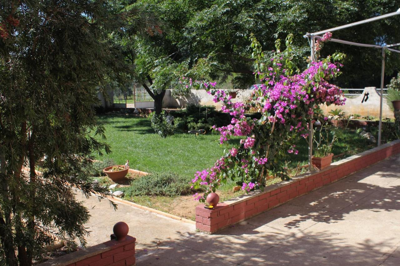 Apartments For Families With Children Privlaka, Zadar - 5747 Zewnętrze zdjęcie